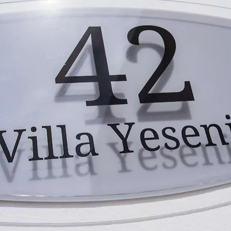 Yesenia Villa *